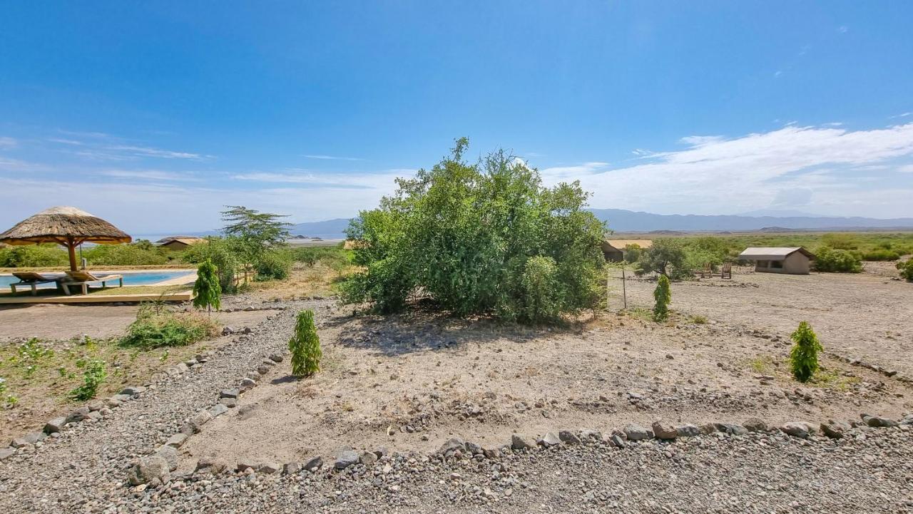 Africa Safari Lake Natron Camping Mtowabaga Екстер'єр фото