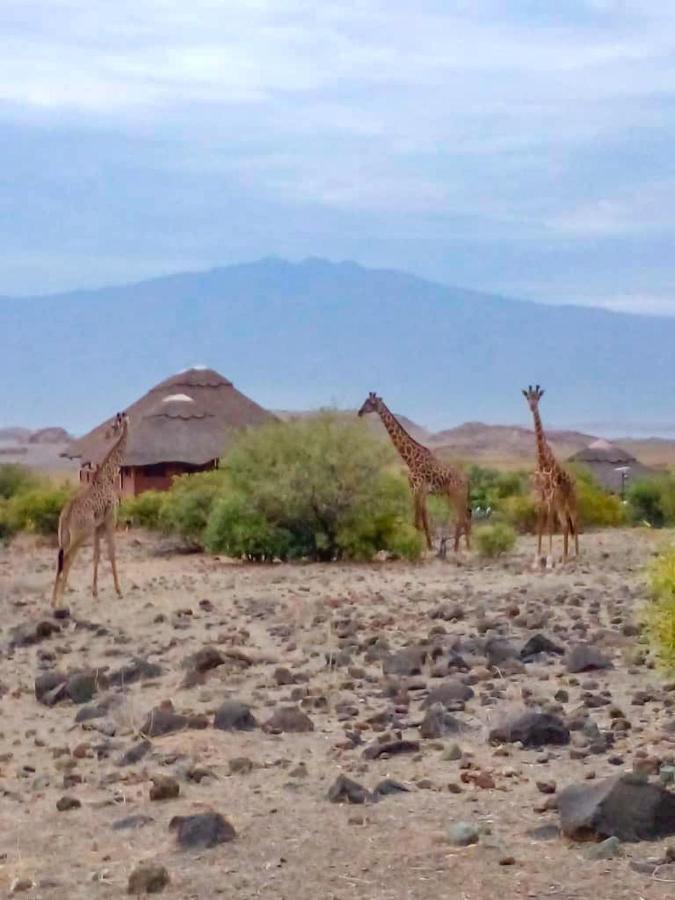 Africa Safari Lake Natron Camping Mtowabaga Екстер'єр фото