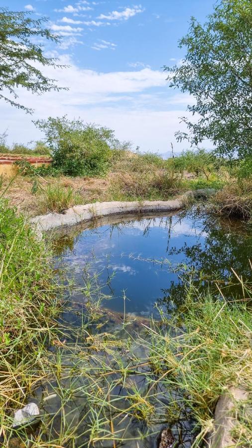 Africa Safari Lake Natron Camping Mtowabaga Екстер'єр фото